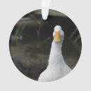 Suche nach enten ornamente Tiere