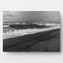 Suche nach meer fotoplatten Natur