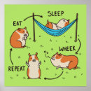Suche nach meerschweinchen poster Lustig