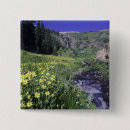 Recherche de alpine badges Paysage