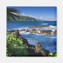 Recherche de bel Tropical
