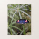 Recherche de papillons bleus puzzles Nature