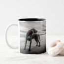 Suche nach strand foto tassen Hund