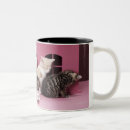Recherche de chaton espiègle tasses Tir de studio