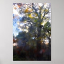 Recherche de arbre tordu posters Arbres