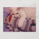 Recherche de de chat siamois cartes postales Amour