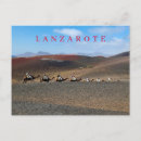 Recherche de lanzarote cartes postales Espagne