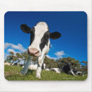Recherche de agriculture tapis souris Vue d'angle faible