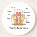 Suche nach zahn untersetzer Gesundheit