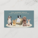 Recherche de chien marche cartes visite Assise