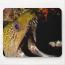 Suche nach mund mousepads Tierkörperteil