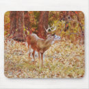 Suche nach geweihe mousepads Hirsch