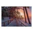 Suche nach kiefernwald poster Holz