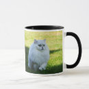 Recherche de chat persan blanc tasses Minou