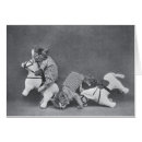 Recherche de opposition photographie Cheval sauvage