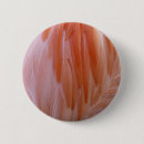 Suche nach rosa federn buttons Tier