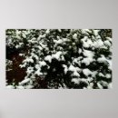 Suche nach gardenia poster Gärtnerei