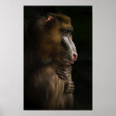 Recherche de babouin art Faune