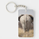 Recherche de vue arrière Éléphant