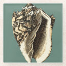 Suche nach schatz untersetzer Seashell