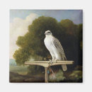 Recherche de stubbs magnets Huile