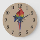 Recherche de parot horloges Macaw