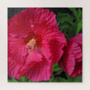 Suche nach hibiskus puzzle Natur