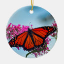 Suche nach monarch butterfly ornamente Foto