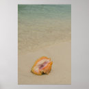 Suche nach belize poster Strand