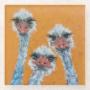 Recherche de autruche dessous de verres Oiseaux