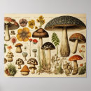 Recherche de meubles posters Antique
