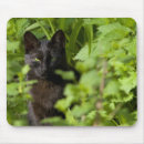 Suche nach katzen mousepads Schwarzes
