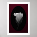 Recherche de rose et bourgeon de rose posters Floral