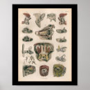 Recherche de sensoriel art Anatomie