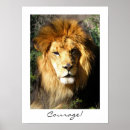 Recherche de gros chat posters Serengeti