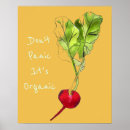 Recherche de radis art Légumes