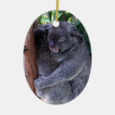 Suche nach koalabär ornamente Australisch