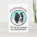 Suche nach lustige border collie karten Haustiere