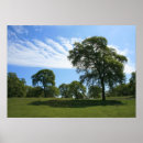 Suche nach oak tree poster Landschaft