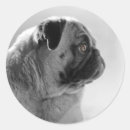 Suche nach profile aufkleber Mops