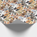 Recherche de colley papier cadeau Amoureux des chiens