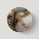 Recherche de bobber badges Drôle