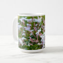 Suche nach jasmin blume tassen Blumenreich