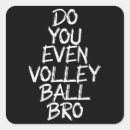 Recherche de beach volleyball autocollants Volley ball intérieur