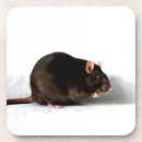 Suche nach niedliche ratte untersetzer Nagetier