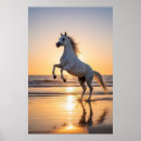Suche nach weißes arabisches pferd poster Pferdeliebhaber