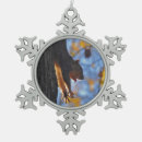 Recherche de écureuil de ornements Photos