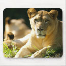 Suche nach afrikanische safari mousepads Wild