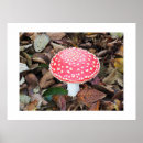 Recherche de champignon rouge posters Tabouret