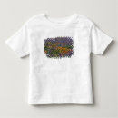 Suche nach lupinen tshirts Natur